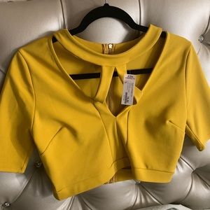 Mustard Crop Top